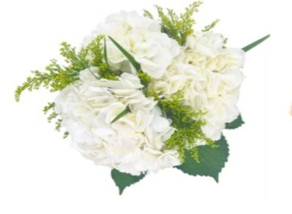 Bella Blossom Cut Flowers Display